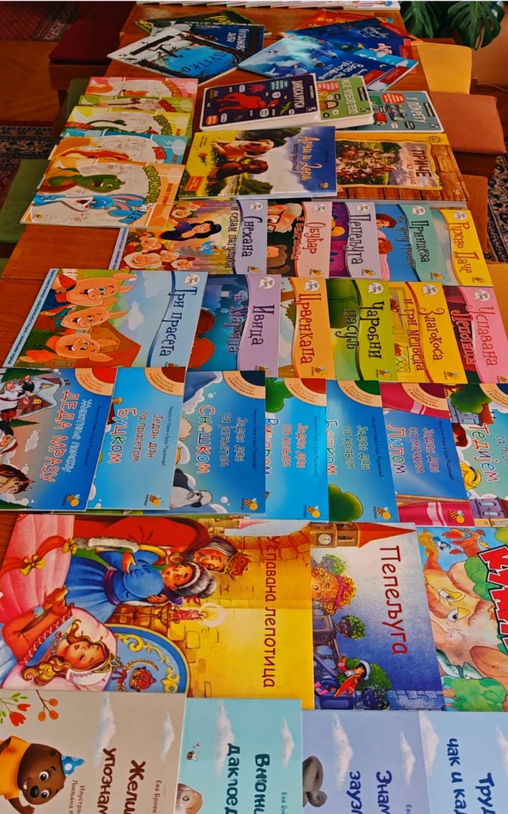 НОВЕ КЊИГЕ У СВИЛОЈЕВАЧКОЈ БИБЛИОТЕЦИ